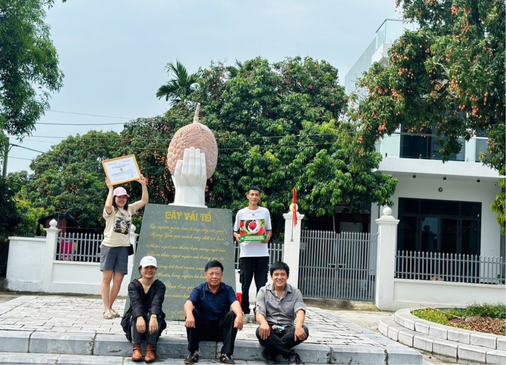 phân biệt vải trứng hưng yên