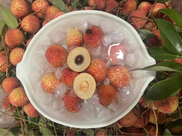 Lợi ích của trái vải với sức khỏe